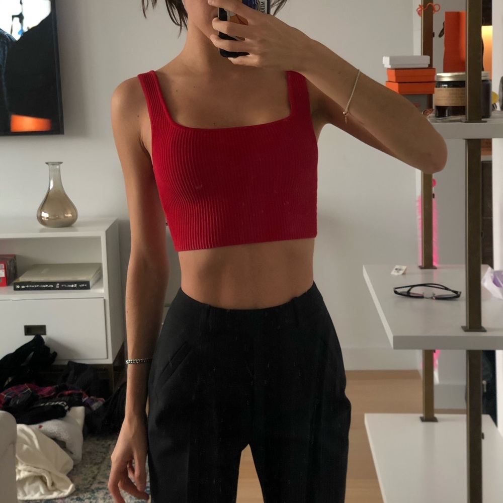 ARITZIA Knit Crop Top